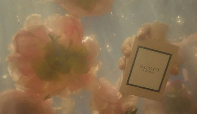 what-is-your-signature-scent-quiz-quotev
