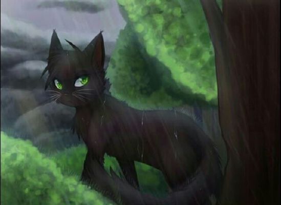 Inaccurate Warrior Cat Quotes 3 - The Clans - Wattpad