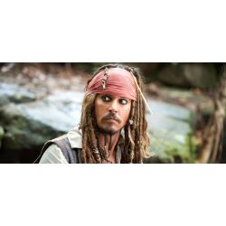 pirates of the caribbean life quiz