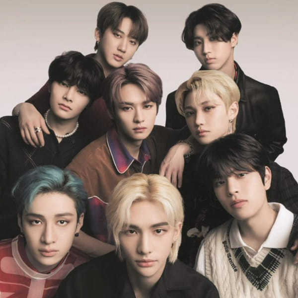 who-is-probably-your-stray-kids-bias-quiz-quotev