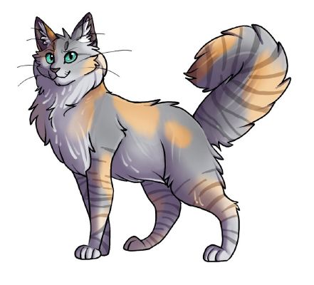 Warrior Cats: Glossary, Warrior Cats Guide