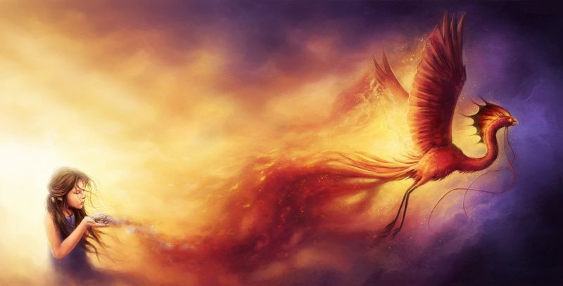 Cinis the Phoenix | Quotev