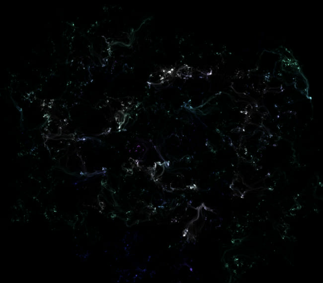 Choose a picture and I’ll give you a mental illness Quiz Quotev