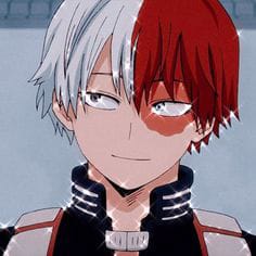 Do you really know Shoto Todoroki? (Hard) - Test | Quotev