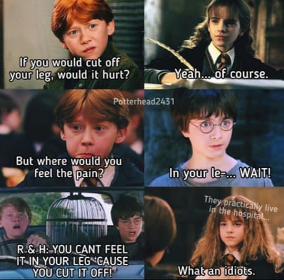 A Collection of Harry Potter memes (Clean of course) No. 1