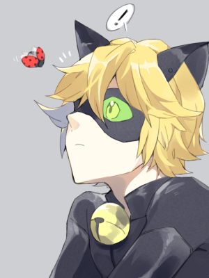 Adrien/Cat Noir as an ANIME character(Fanart is NOT mine..)