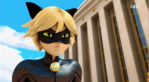 Never Say Cataclysm Untransformed Feline More Like A Cat Miraculous Ladybug Random Updates