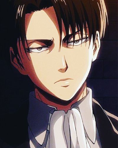 Unpredictable Tenderness (Levi X OC fanfiction) Shingeki no kyojin