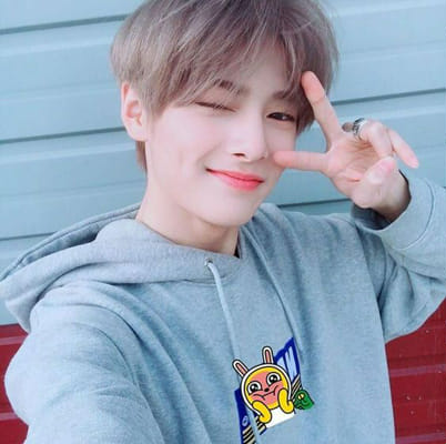 Guess The Stray Kids Member - Test 