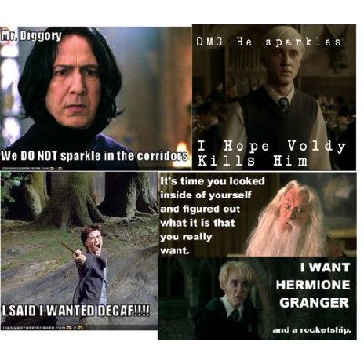 HARRY POTTER MEMES #11 