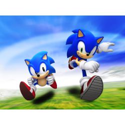 Doubles of Us (Modern Sonic x Reader x Classic Sonic)