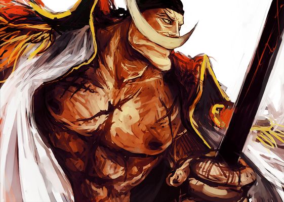 The Son Of Whitebeard ( BNHA x Male Reader )  One piece tattoos, One piece  wallpaper iphone, One piece pictures