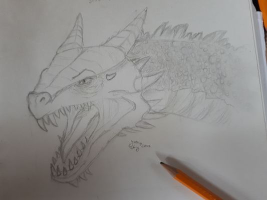 realistic dragon pencil drawings