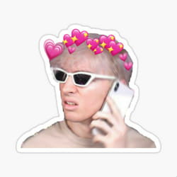 How well do you know Flamingo? - Test | Quotev