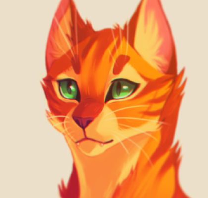 Fireworks (Firestar X Kittypet! Reader)