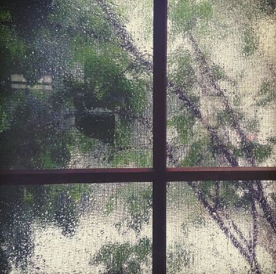 Цветы на дождливом окне. Окно на проветривание. Дождь за окном. Окно выходит в белые деревья. Дождь в окне.