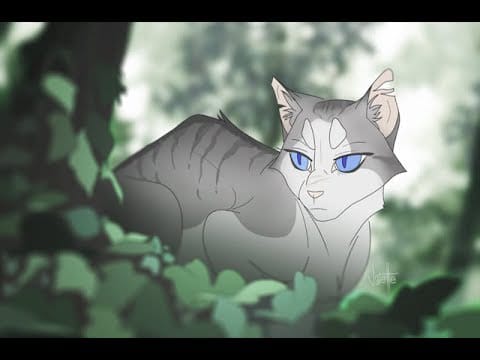 Guess the Song (Blixemi-Warrior Cats) - Test | Quotev