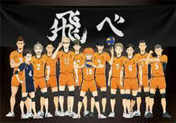 Haikyuu: Karasuno Volleyball Team Quiz