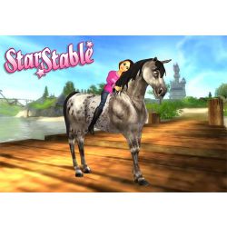 Star Stable Home Stable Quizzes
