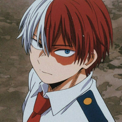 Does Todoroki have a crush on you? - Quiz | Quotev