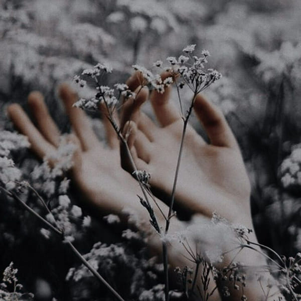 what flower are you based on your outfit choice Quiz Quotev