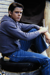 Would Ponyboy Curtis Like You? - Quiz Quotev