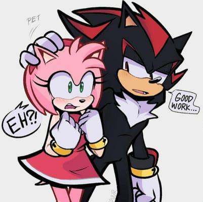 Ship or Rip: Shadow the Hedgehog Edition - Survey | Quotev