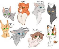 Warrior Cats: Dawn of the Clans / Characters - TV Tropes