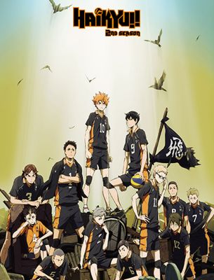 Fighter, Haikyuu! various x female! reader