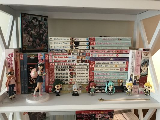 Collecting Anime Merch: The Quest for the Holy Grail of Fan Treasures