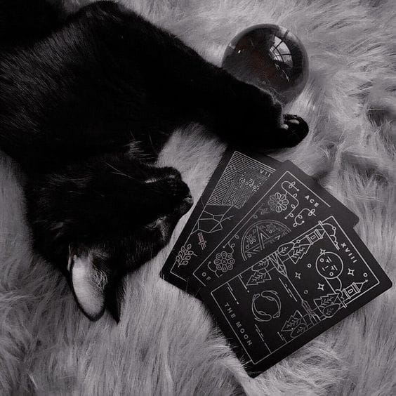 Shadow | Quotev