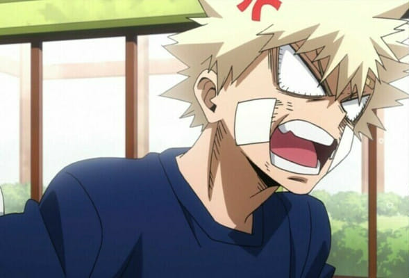 What Does Bakugo Think Of You (pt.1?) - Quiz 