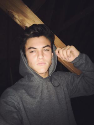 Ethan and Aaron  Dolan twins, Dollan twins, Ethan dolan