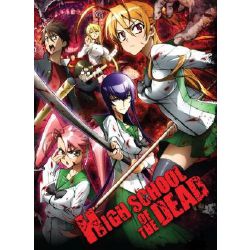 Highschool of the dead [Takashi x reader]