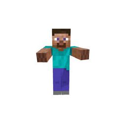 What minecraft steve are you - Quiz | Quotev