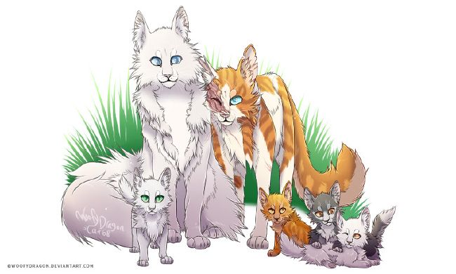 Favorite Warrior Cats Picker (Round Two)