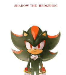 The ultimate shadow the hedgehog quiz - Test | Quotev