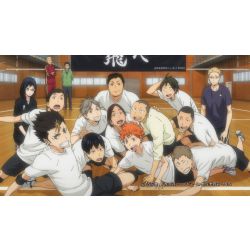 Haikyuu!! Season 1 Ending 😭