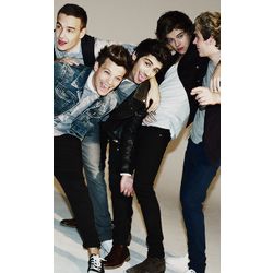 How Will You Meet 1D - Quiz | Quotev