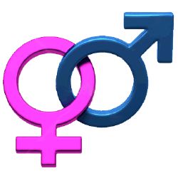 Are you More Male or Female? - Quiz | Quotev