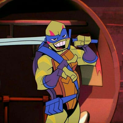 Leo (ROTTMNT) Compatibility Test - Quiz | Quotev