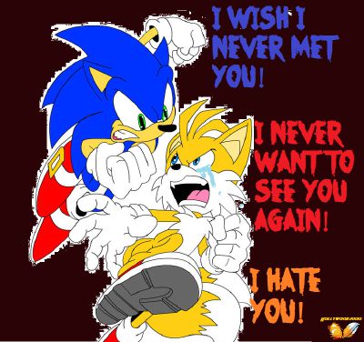 I never leave you (Part 1) - A Sonic the Hedgehog Fanfic 