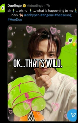 Which Enhypen member are you? - Quiz | Quotev