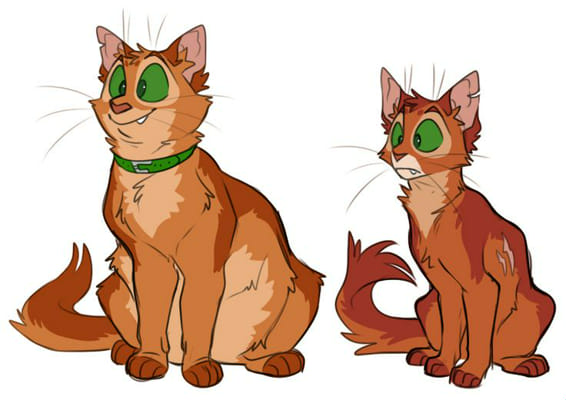 What If Firestar Joined WindClan?, Warrior Cat What Ifs?