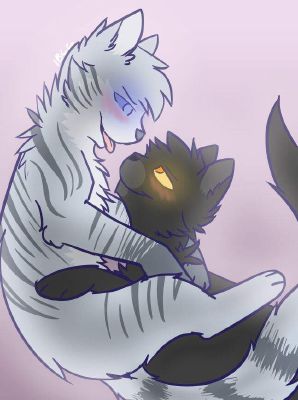 Jayfeather, Warriors - what should have happened Wiki