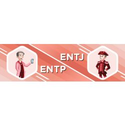 Quandie MBTI Personality Type: ENTP or ENTJ?