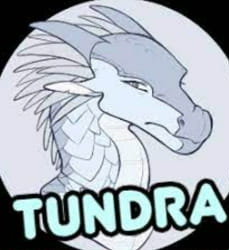 Icewing Ranking Chart Wings of Randomness 3#: Tundra's Rank Test - Quiz | Quotev