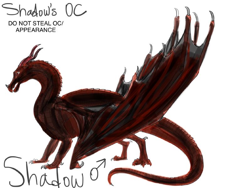 Shadow | Quotev