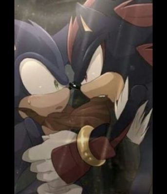 Sonic & Shadow Read SONADOW Fan Fictions! - MY EDGELORD 