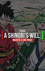 A Shinobi's Will., One Piece x Reader x Naruto *DISCONTINUED*